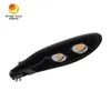 야외용 공공 조명 COB AC 전원 100W LED 가로등