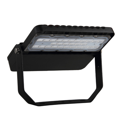 에너지 절약 10KV 알루미늄 LED 가로등 높은 루멘 IP65 100W MEANWELL 운전사