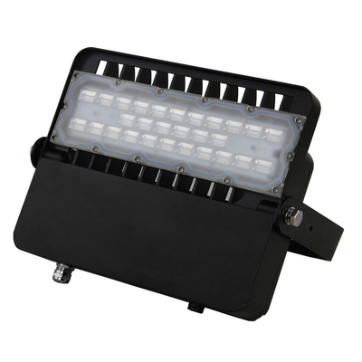 에너지 절약 10KV 알루미늄 LED 가로등 높은 루멘 IP65 100W MEANWELL 운전사